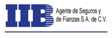 IIB Seguros Logo